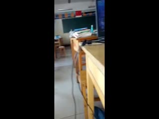 [在线]大白天女生在教室里帮男同学吹萧